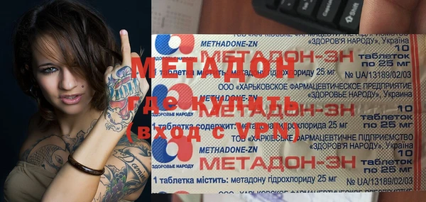стаф Инта
