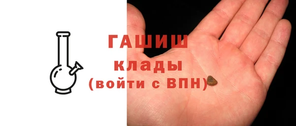 стаф Инта