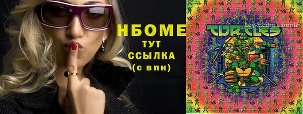 стаф Инта