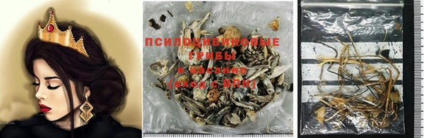 соль курить ск Инсар