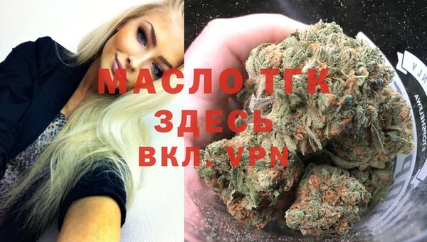 стаф Инта