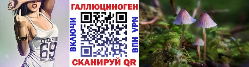 Купить закладки  Пикалёво  Галлюциногенные грибы Psilocybine cubensis 